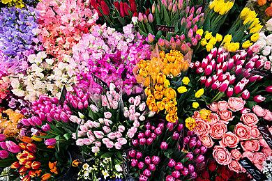 Switch版《西瓜游戏》突破400万次下载 官方推出LINE动画贴纸